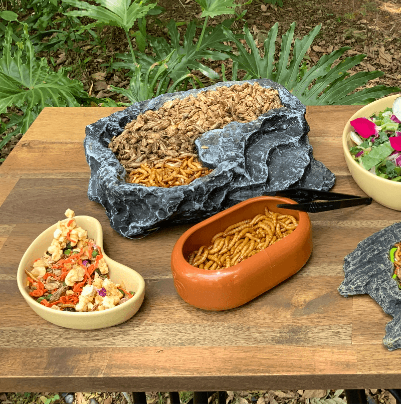 Pisces Enterprises Live Food Bulk Bulk Mealworms - Regular 1kg