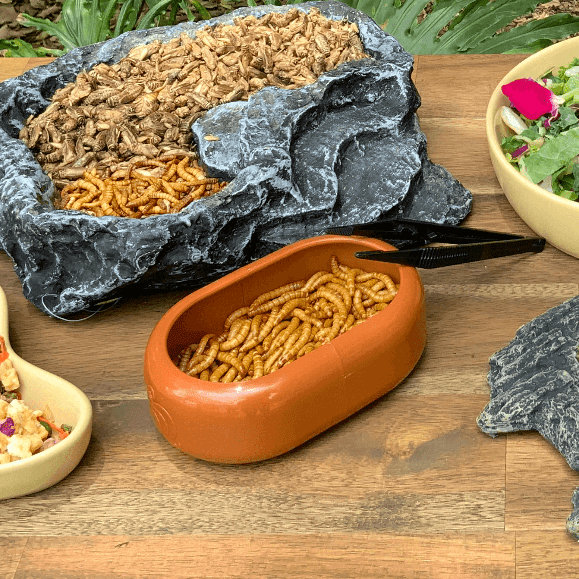 Pisces Enterprises Live Food Bulk Mini Bulk Mealworms - Regular 250g Pack