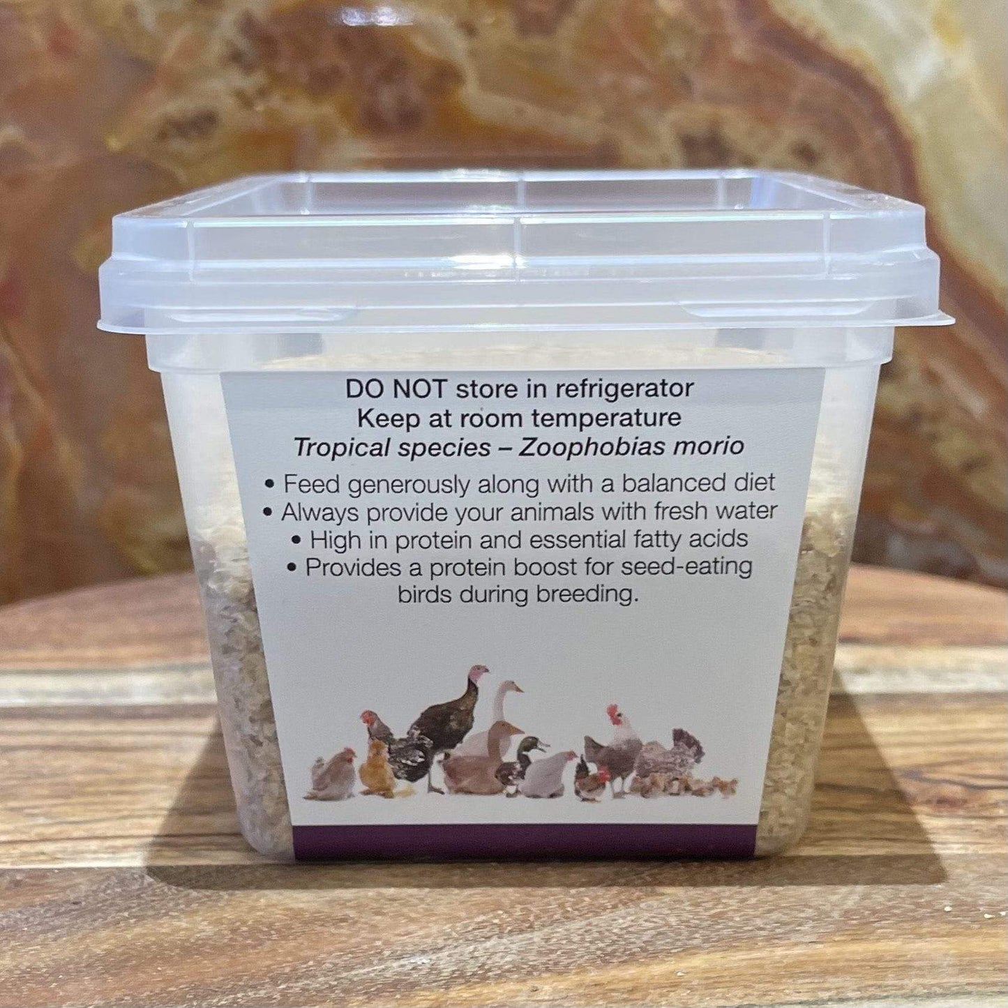 Pisces Enterprises Live Food Tub Giant Mealworms - Zophobas morio 25g Tub