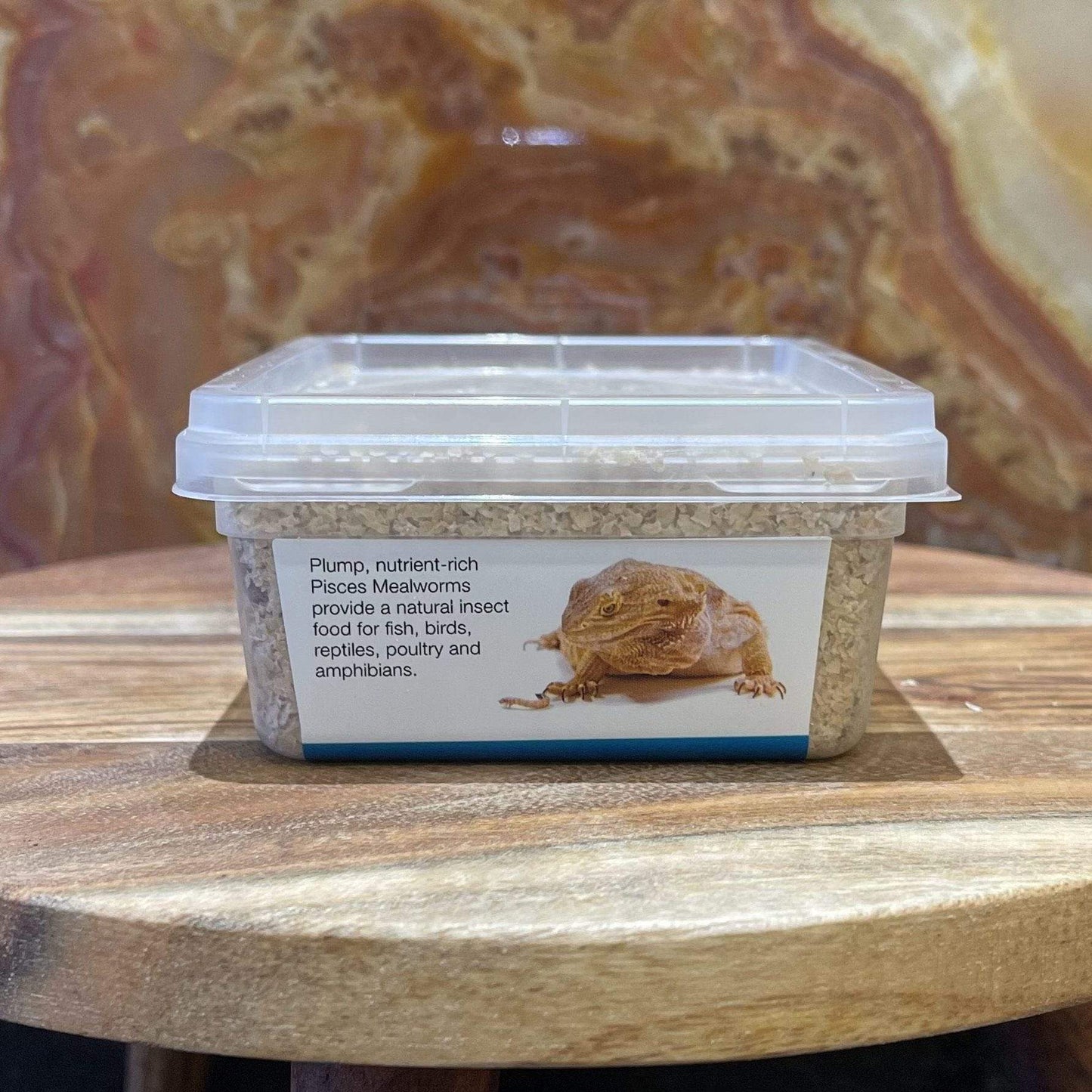 Pisces Enterprises Live Food Tub Superworms 50g Tub