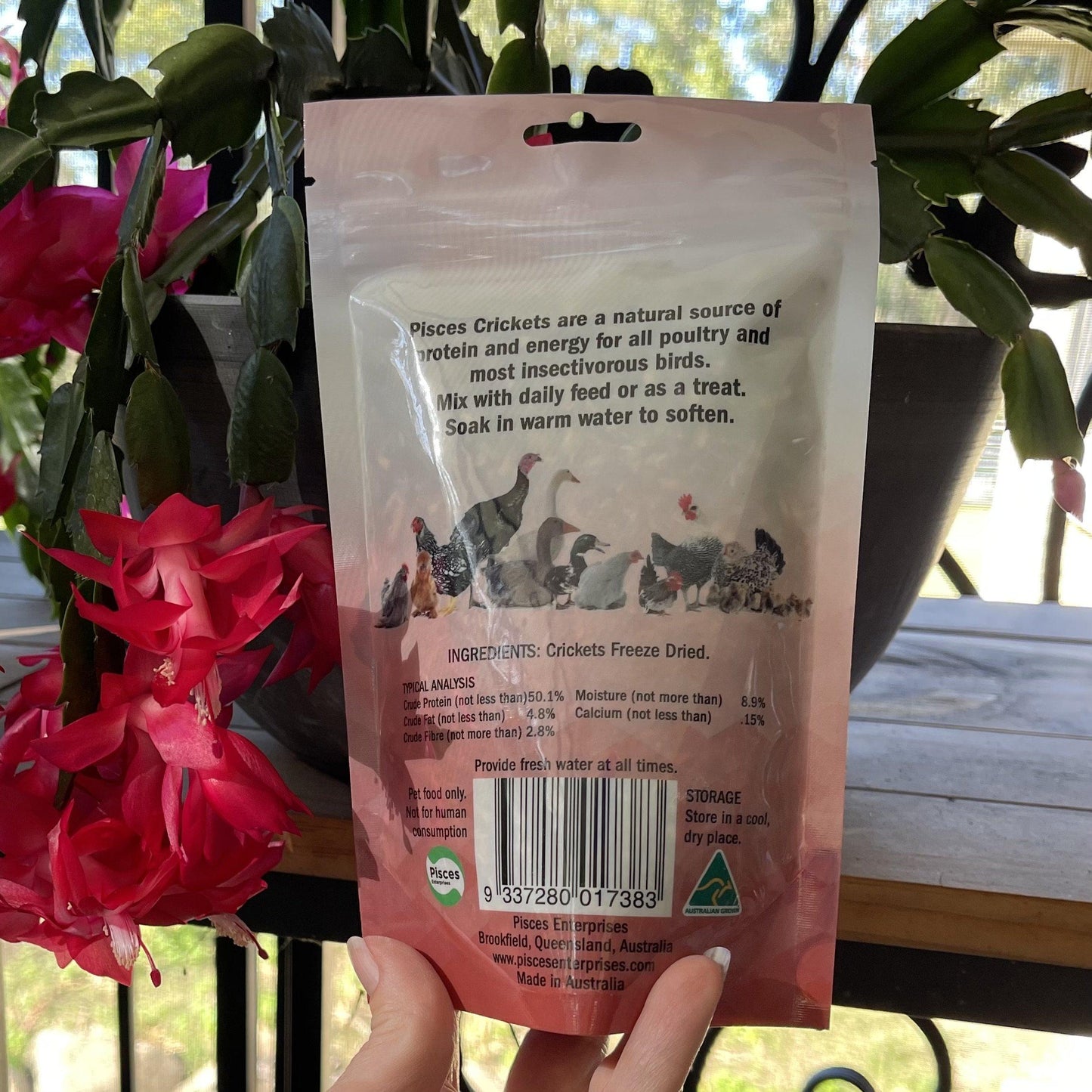 Pisces Enterprises Reptile Food Freeze-dried Crickets Poultry Bag 50g