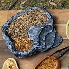 Pisces Enterprises Reptile Food Freeze-dried Crickets Poultry Bag 50g