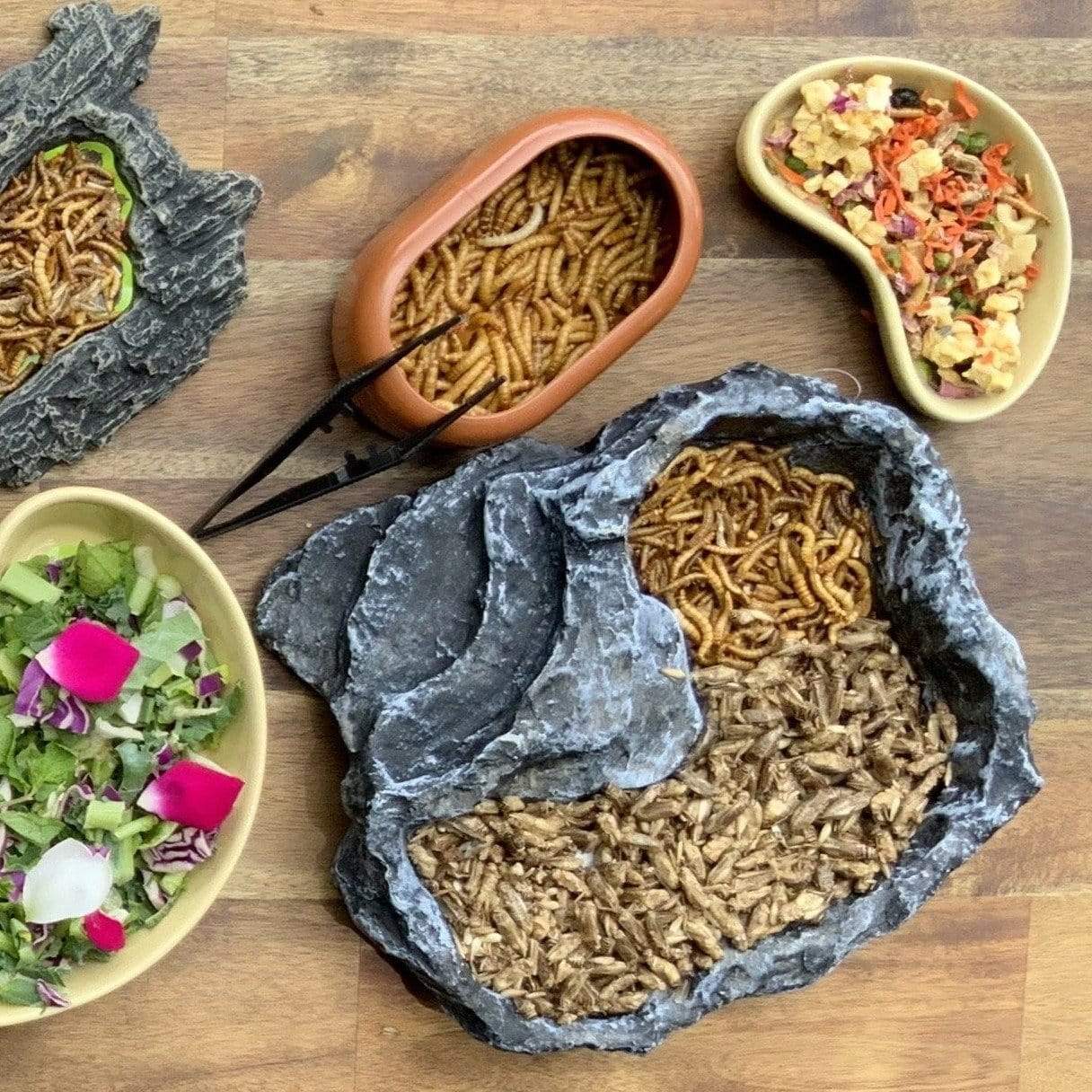 Pisces Enterprises Reptile Food Freeze-dried Mealworms Pisces 40G