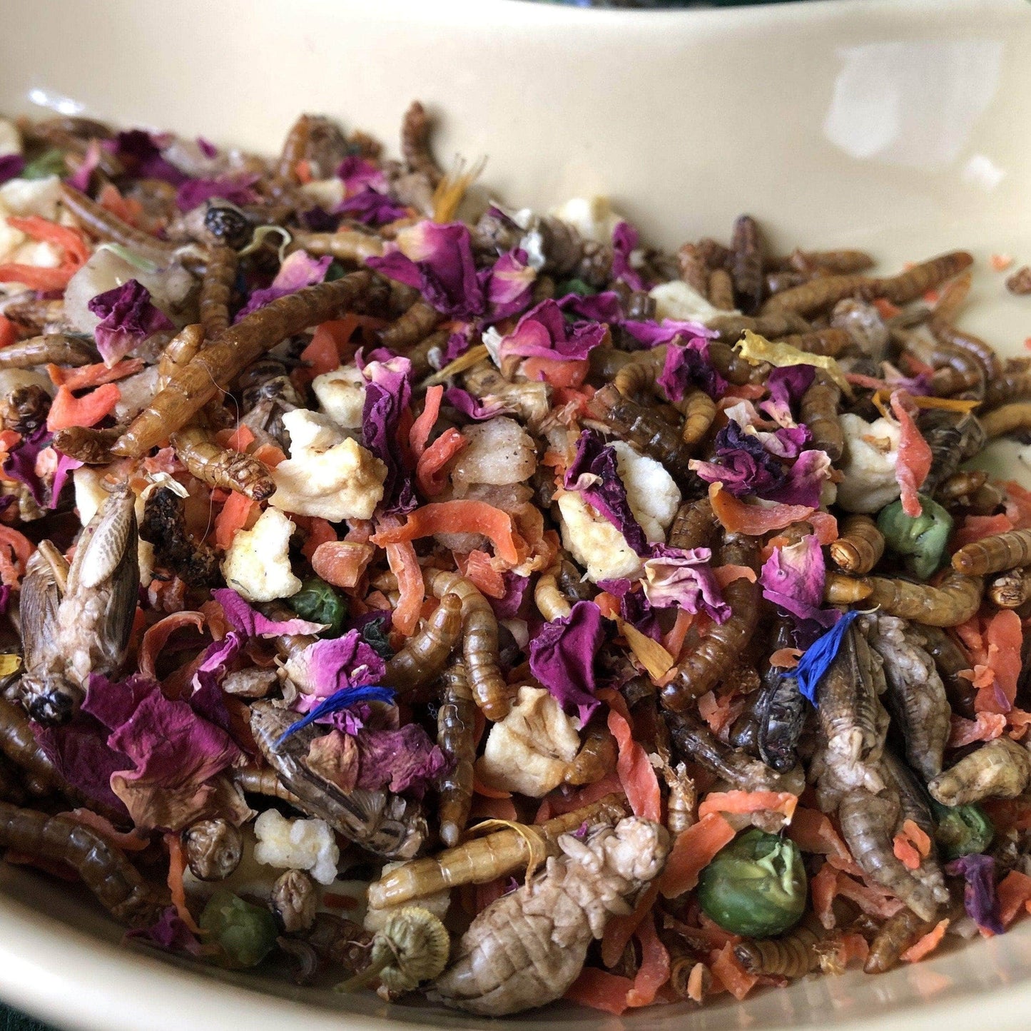 Pisces Enterprises Reptile Food Omnivore Mix Pisces 100g