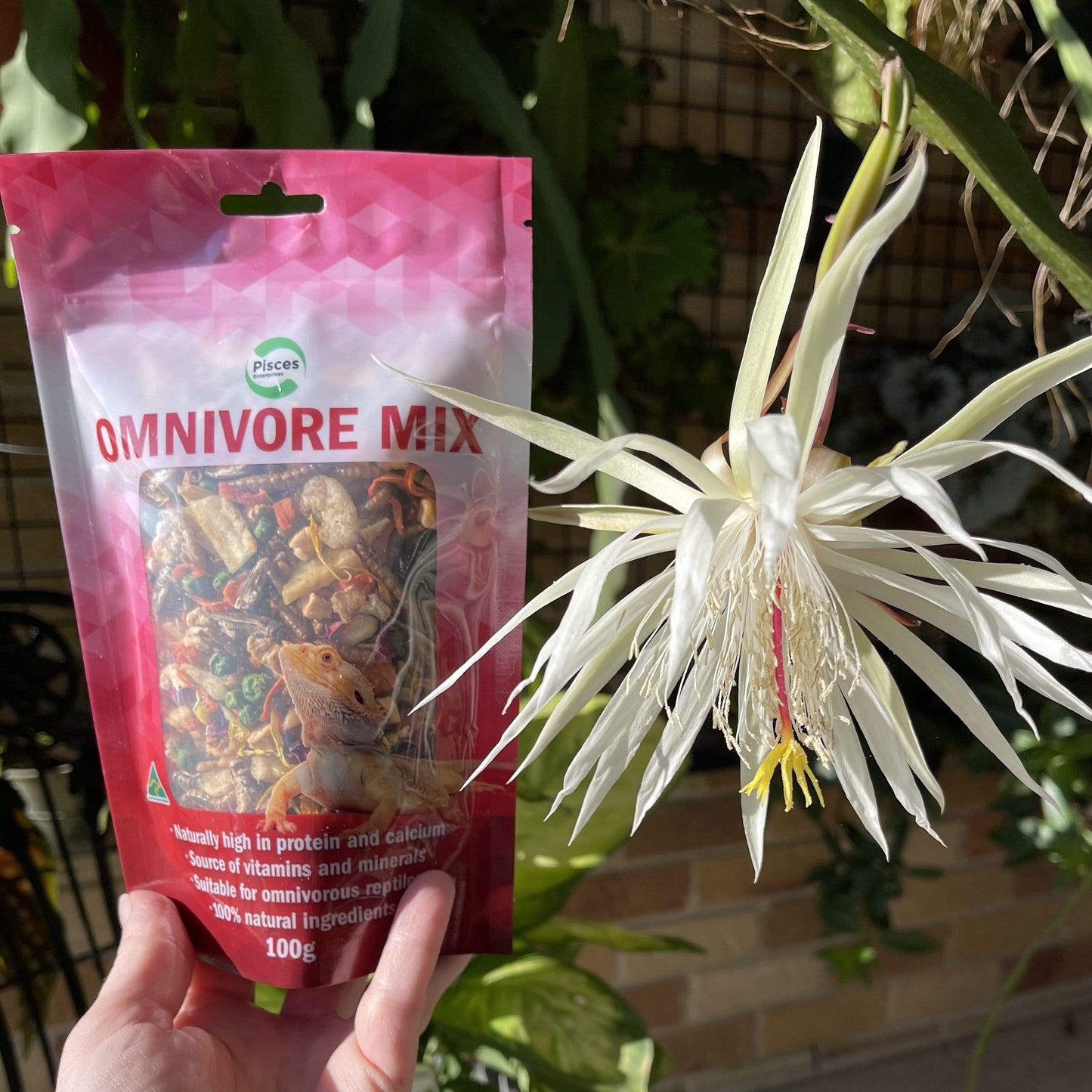 Pisces Enterprises Reptile Food Omnivore Mix Pisces 100g