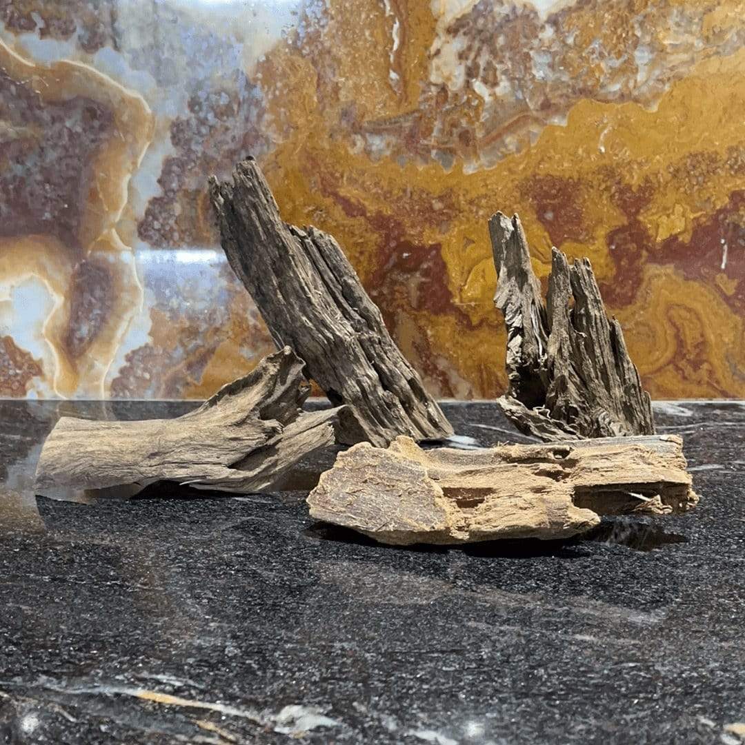 Reptile Realm Driftwood Malaysian Driftwood - Extra-Small (8-14cm)