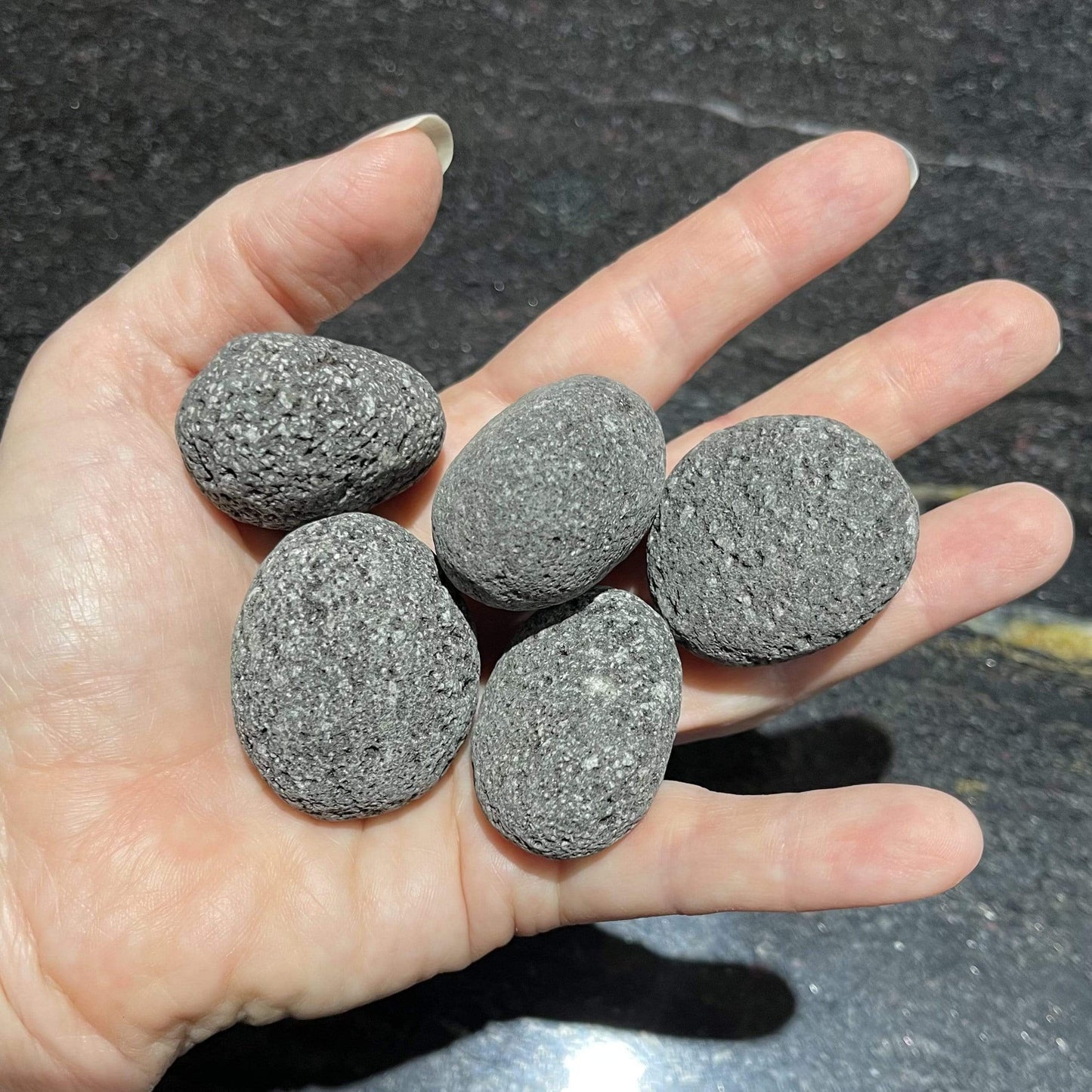 Reptile Realm Natural Rock Five Tiny Boulder Rocks - New Zealand Lava