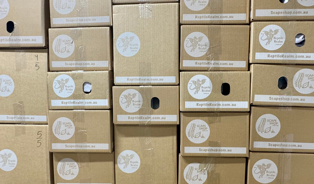 Is Ordering Live Insects Online Safe?