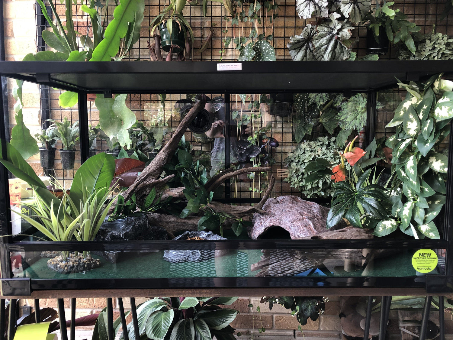 Habitats & Terrariums