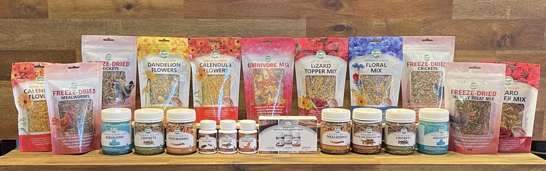 Dried Insects & Reptile Supplements - Reptile Realm Australia