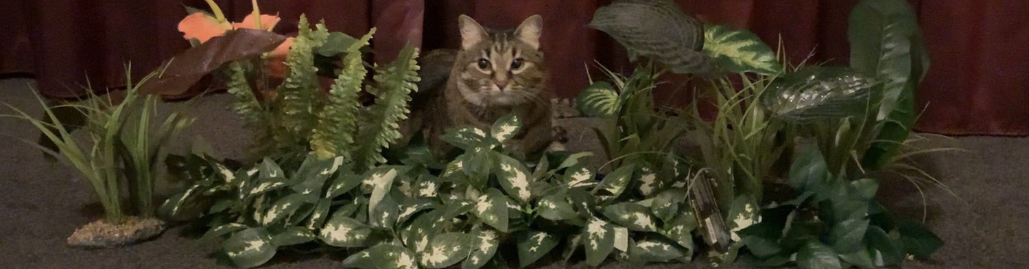 Artificial plants enhance animal welbeing safely
