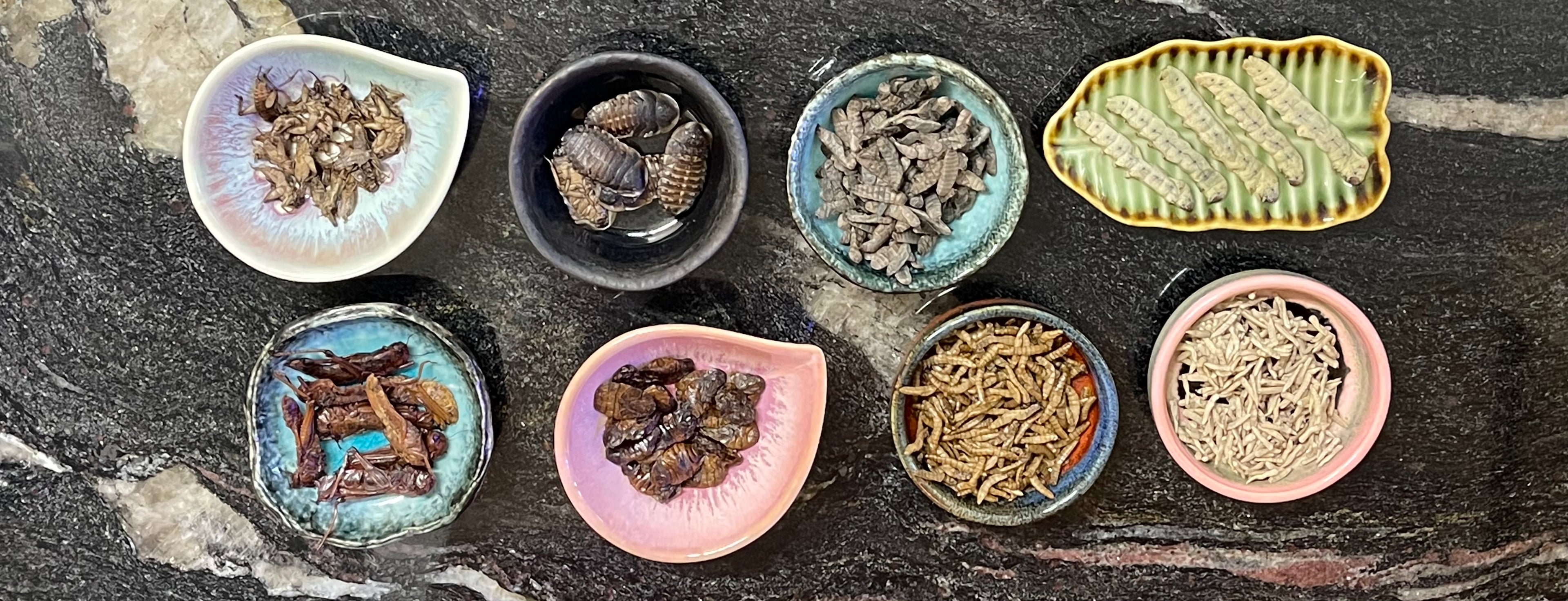Jurassic Natural - Super Fresh Insects