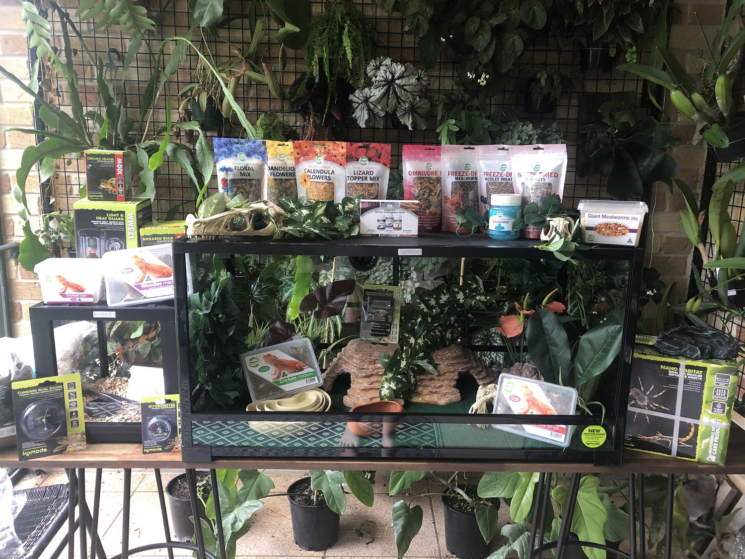 All Products