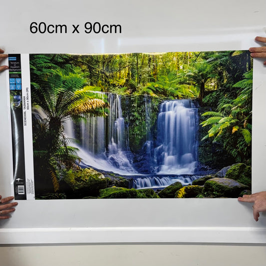 Tasmanian Rainforest Waterfall Poster Background