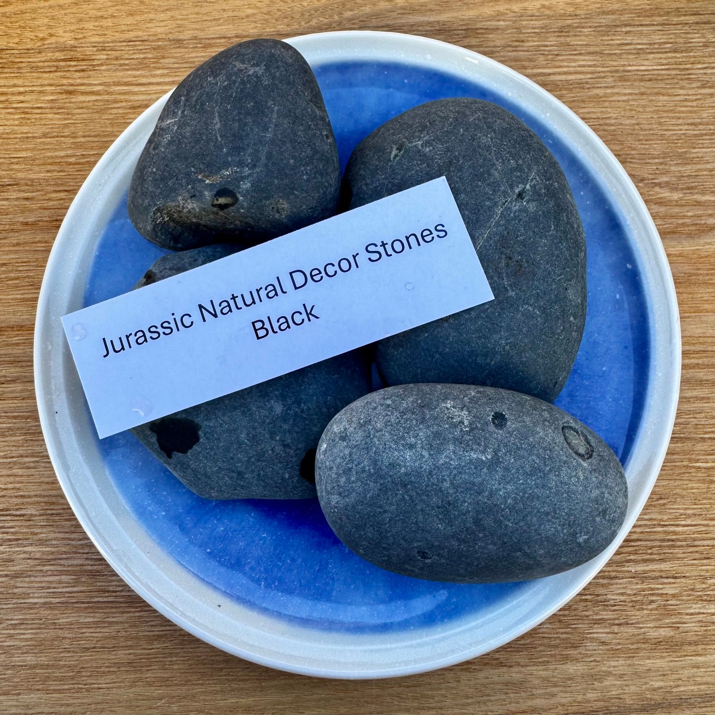 Jurassic Natural Natural Rock Jurassic Natural Decor Stones - Black Stones