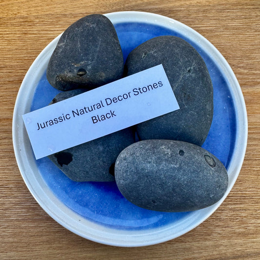 Jurassic Natural Natural Rock Jurassic Natural Decor Stones - Black Stones