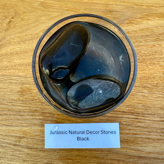 Jurassic Natural Natural Rock Jurassic Natural Decor Stones - Black Stones