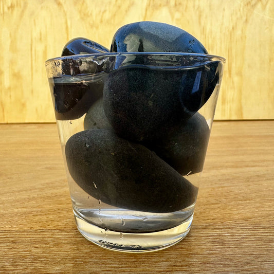 Jurassic Natural Natural Rock Jurassic Natural Decor Stones - Black Stones