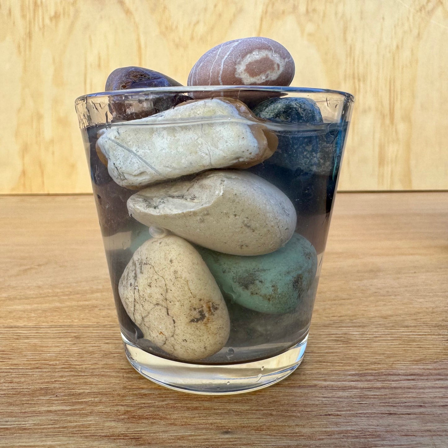 Jurassic Natural Natural Rock Jurassic Natural Decor Stones - Cream Rose Stones