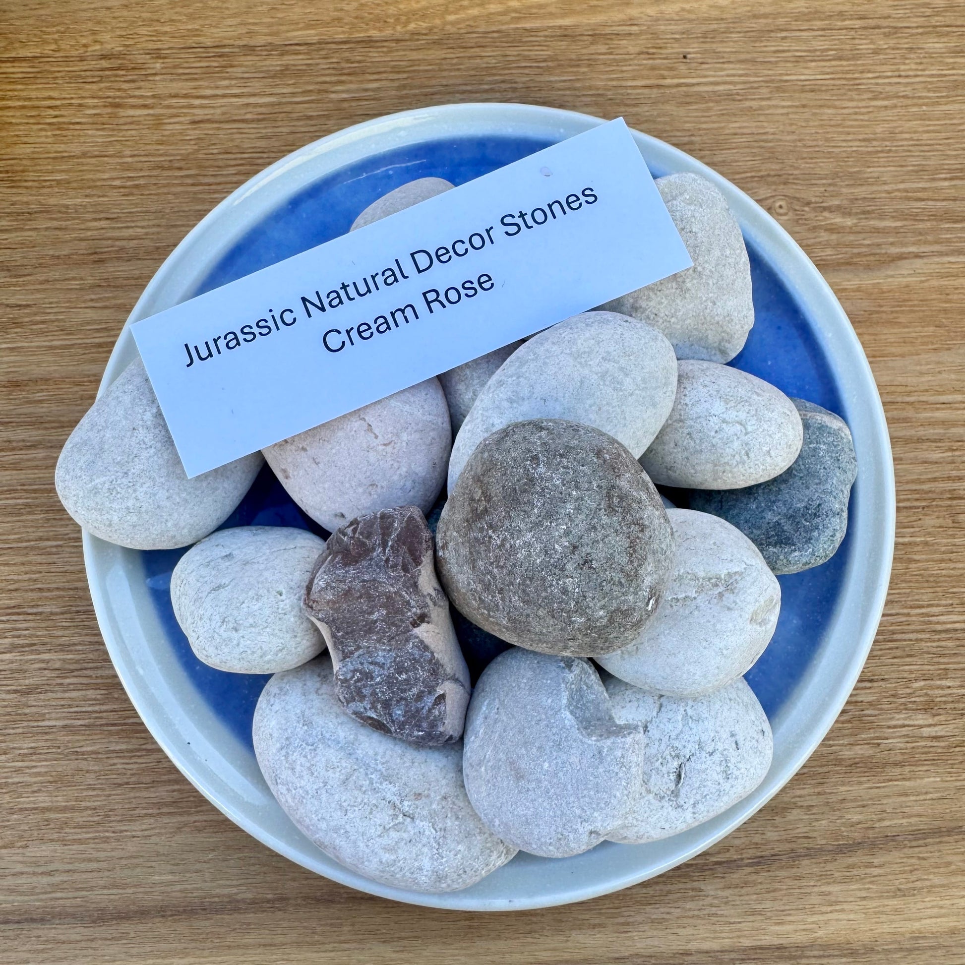 Jurassic Natural Natural Rock Jurassic Natural Decor Stones - Cream Rose Stones