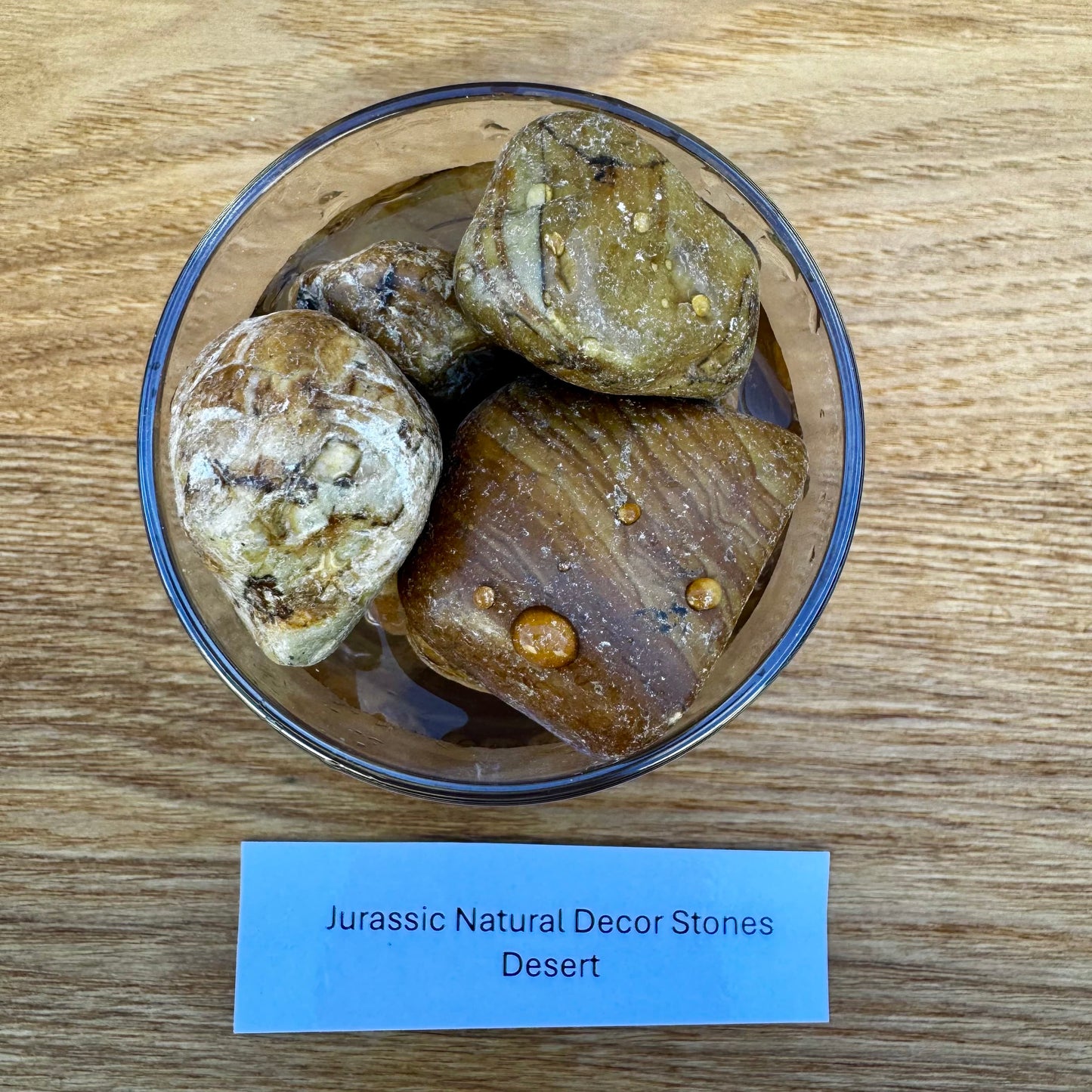Jurassic Natural Natural Rock Jurassic Natural Decor Stones - Desert Stones