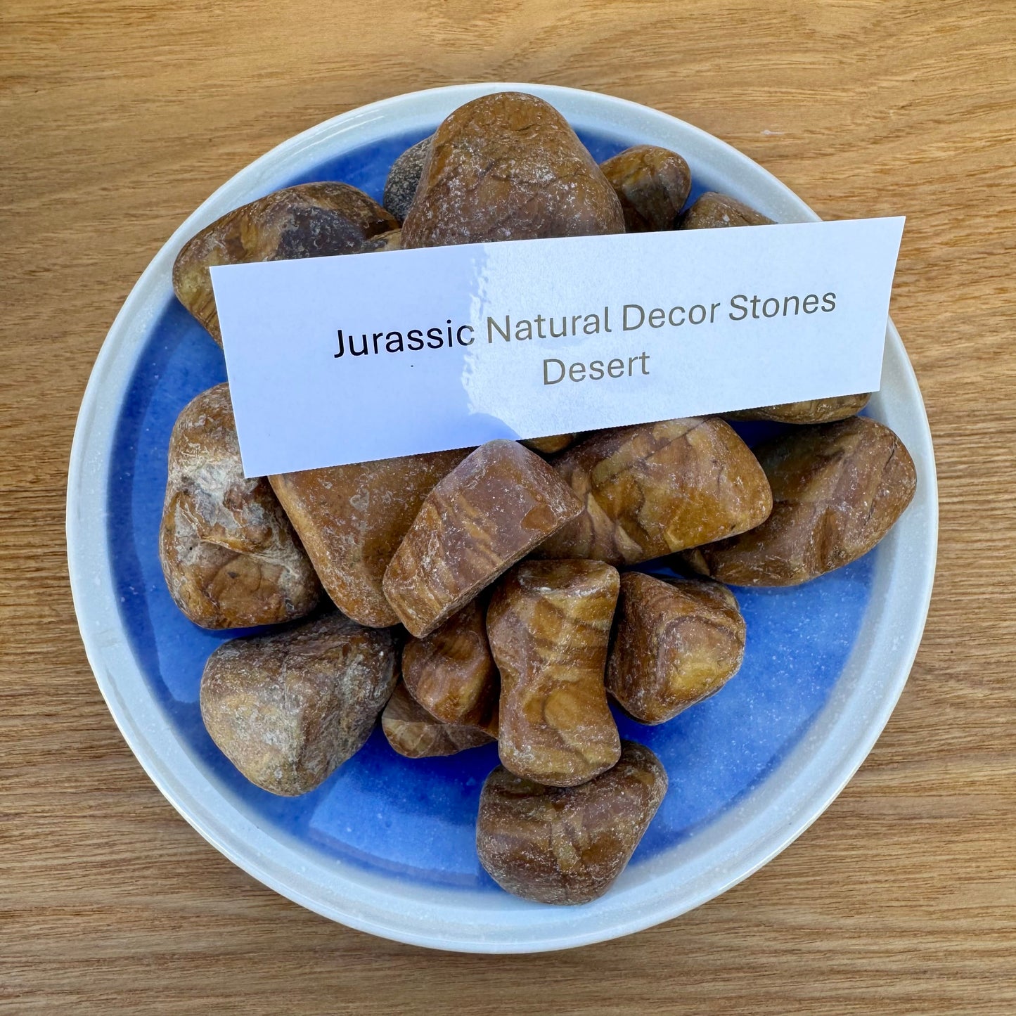 Jurassic Natural Natural Rock Jurassic Natural Decor Stones - Desert Stones
