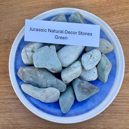 Jurassic Natural Natural Rock Jurassic Natural Decor Stones - Green Stones