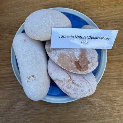 Jurassic Natural Natural Rock Jurassic Natural Decor Stones - Pink Stones