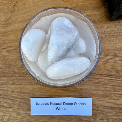 Jurassic Natural Natural Rock Jurassic Natural Decor Stones - White Stones