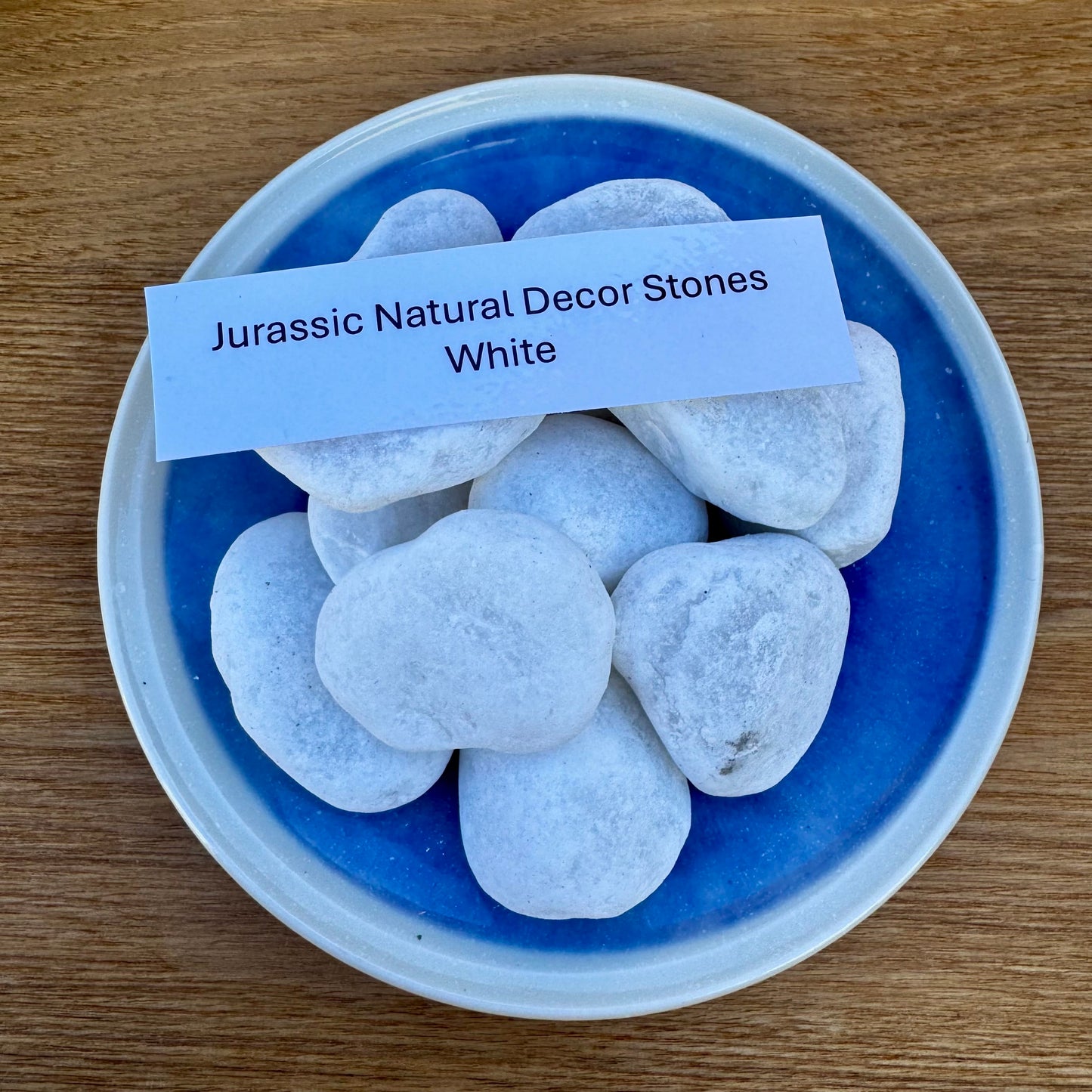 Jurassic Natural Natural Rock Jurassic Natural Decor Stones - White Stones