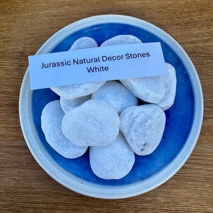 Jurassic Natural Natural Rock Jurassic Natural Decor Stones - White Stones