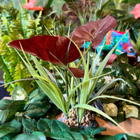 Komodo Artificial Plant Komodo Rainforest Canopy