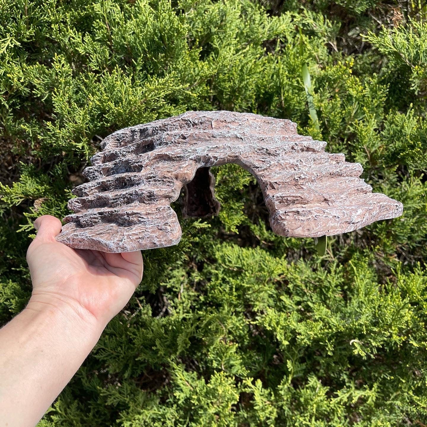 Zilla Basking Platform Ramps WE CAN DO BETTER! Thrive Elevated