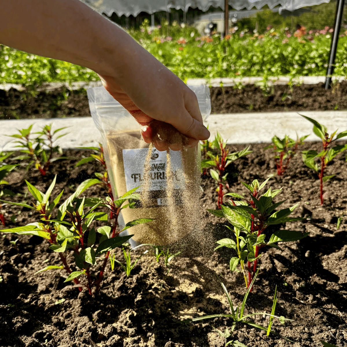 Natural Gardener Natural Gardener BioMeal Flourish - Mealworm Frass Fertiliser - 1.5 litre pack