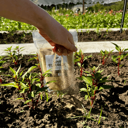 Natural Gardener Natural Gardener BioMeal Flourish - Mealworm Frass Fertiliser - 1.5 litre pack