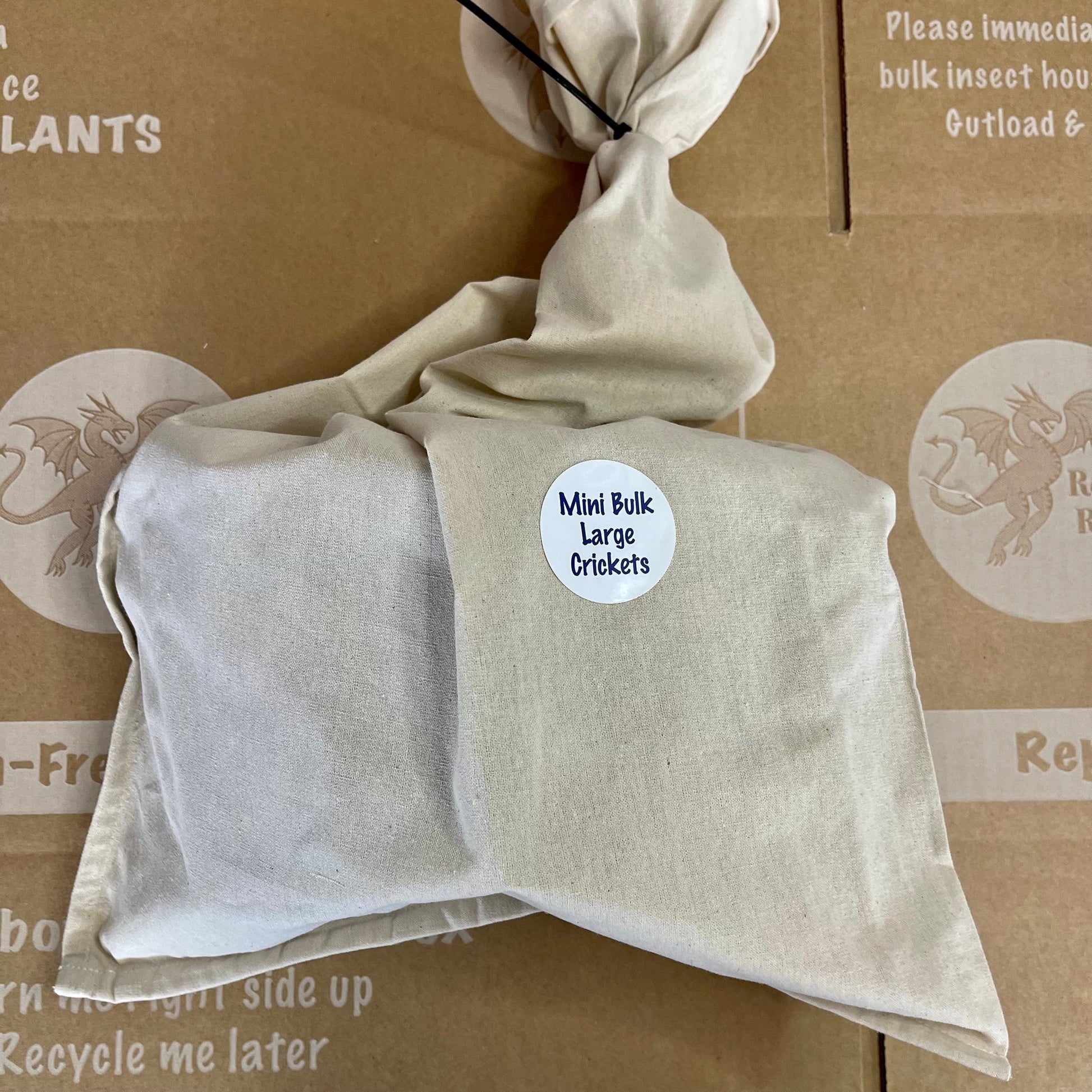Pisces Enterprises Bulk Crickets Mini Bulk Large Crickets (150 Crickets)