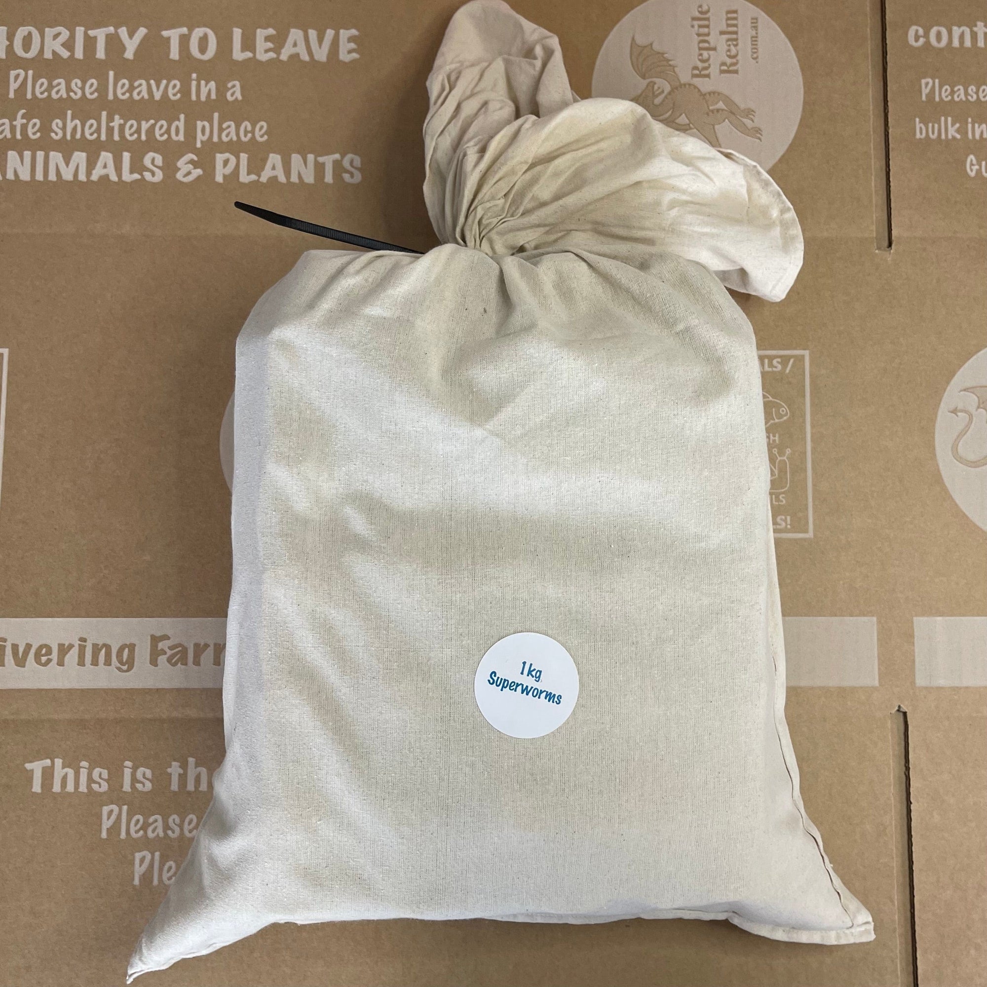 Bulk Superworms 1kg (Tenebrio Molitor) - Bulk LiveFood Insects ...