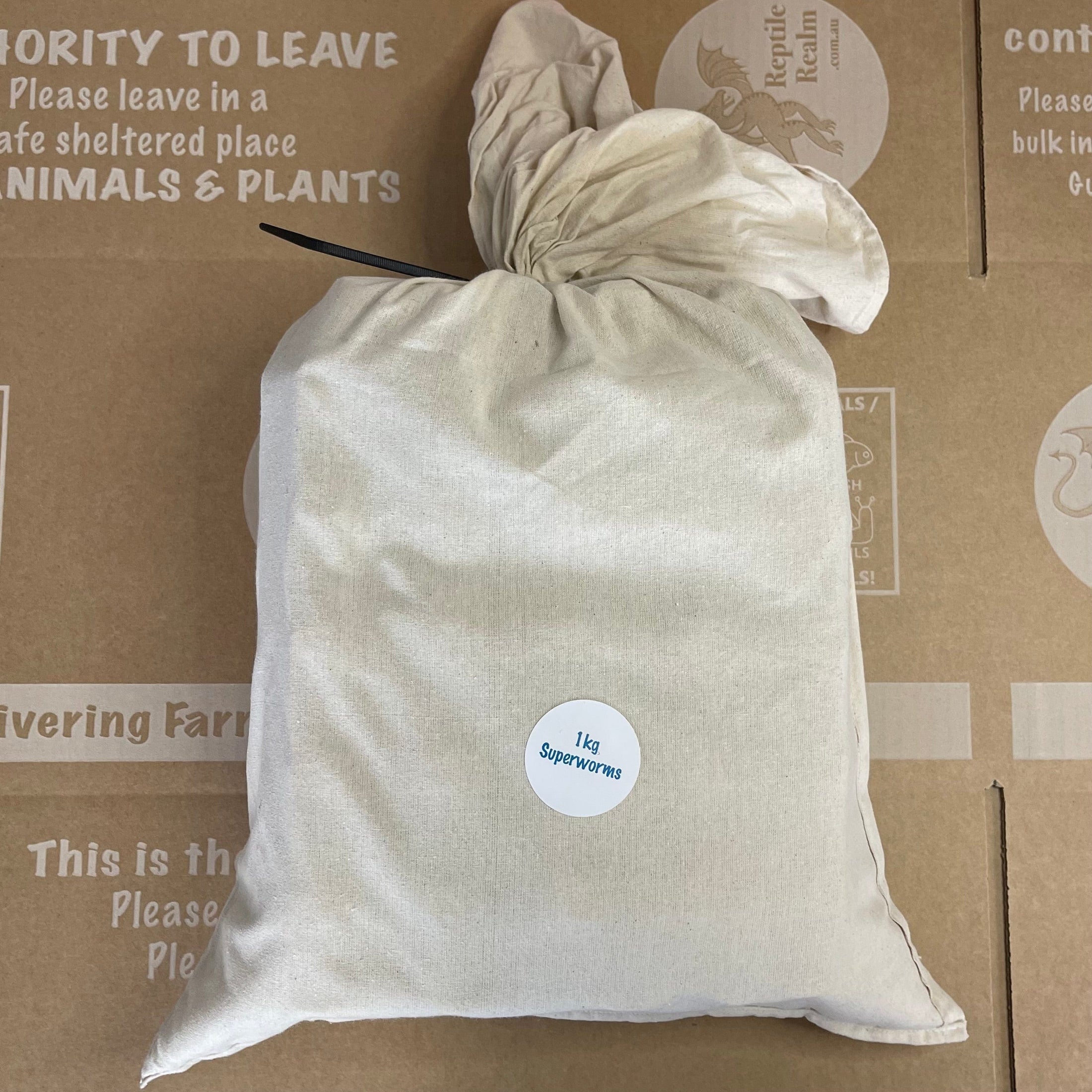 Bulk Superworms 1kg (Tenebrio Molitor) - Bulk LiveFood Insects ...