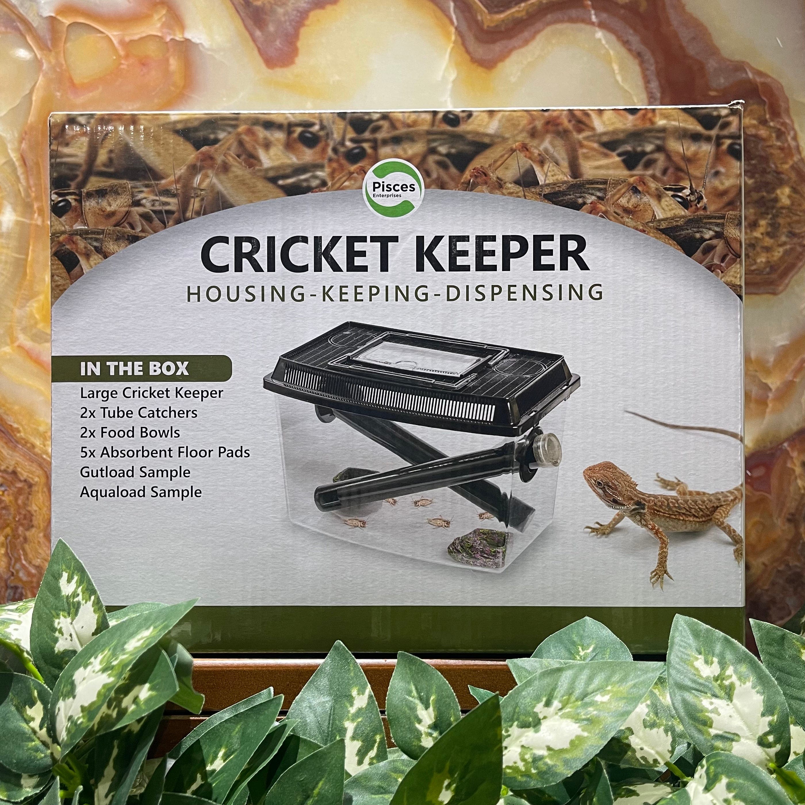 Pisces Cricket Keeper Kit - Bulk Insect Housing – Reptile Realm