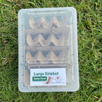 Pisces Enterprises Cricket Value Pack Large Cricket Value Pack (200 Crickets)