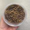 Pisces Enterprises Reptile Food Dehydrated Black Soldier Fly Larvae 40g
