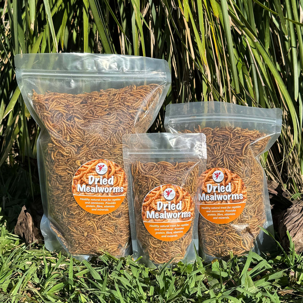 Dried Mealworms Bulk Bags - Reptile Realm