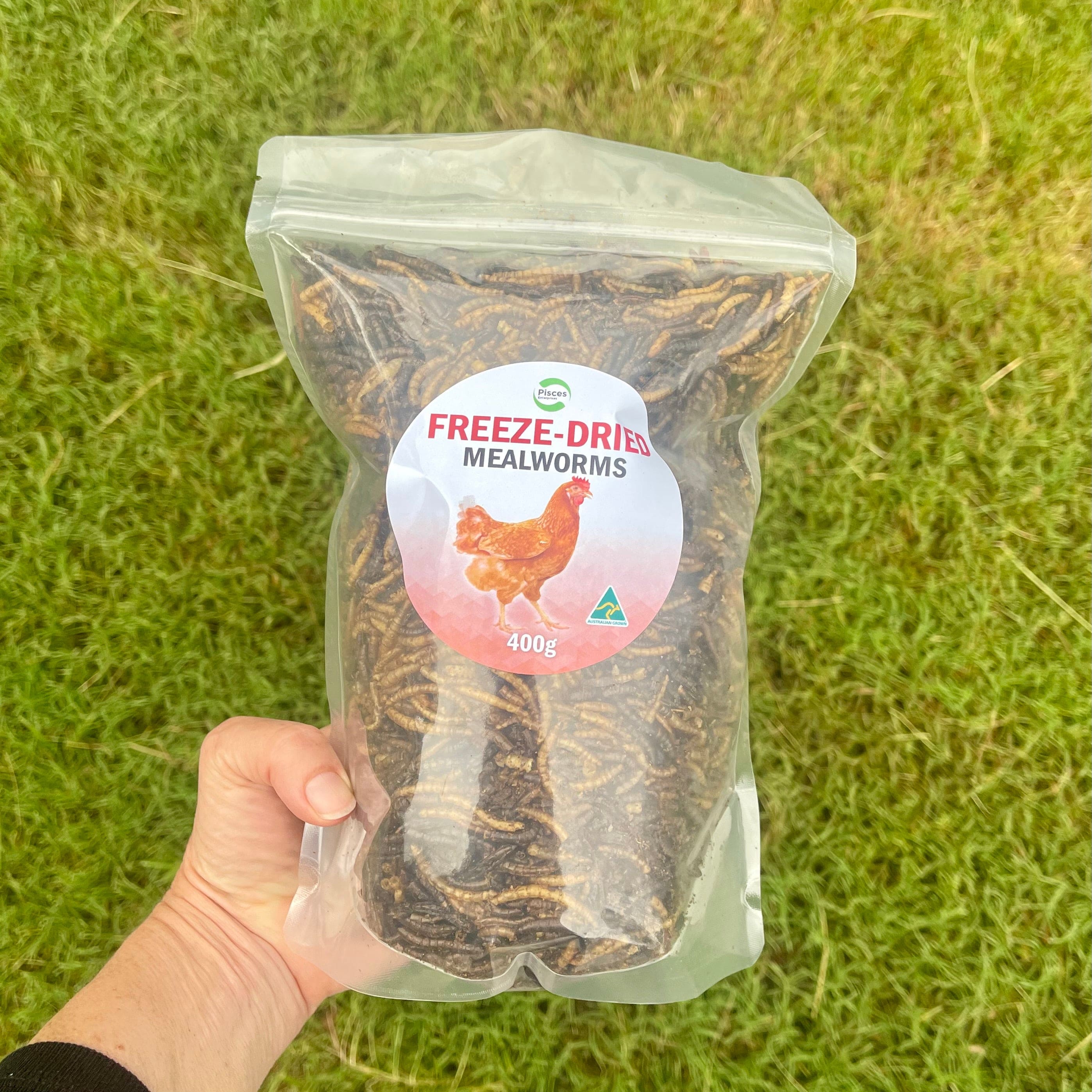Pisces Enterprises Reptile Food Freeze-dried Mealworms Bulk Bag