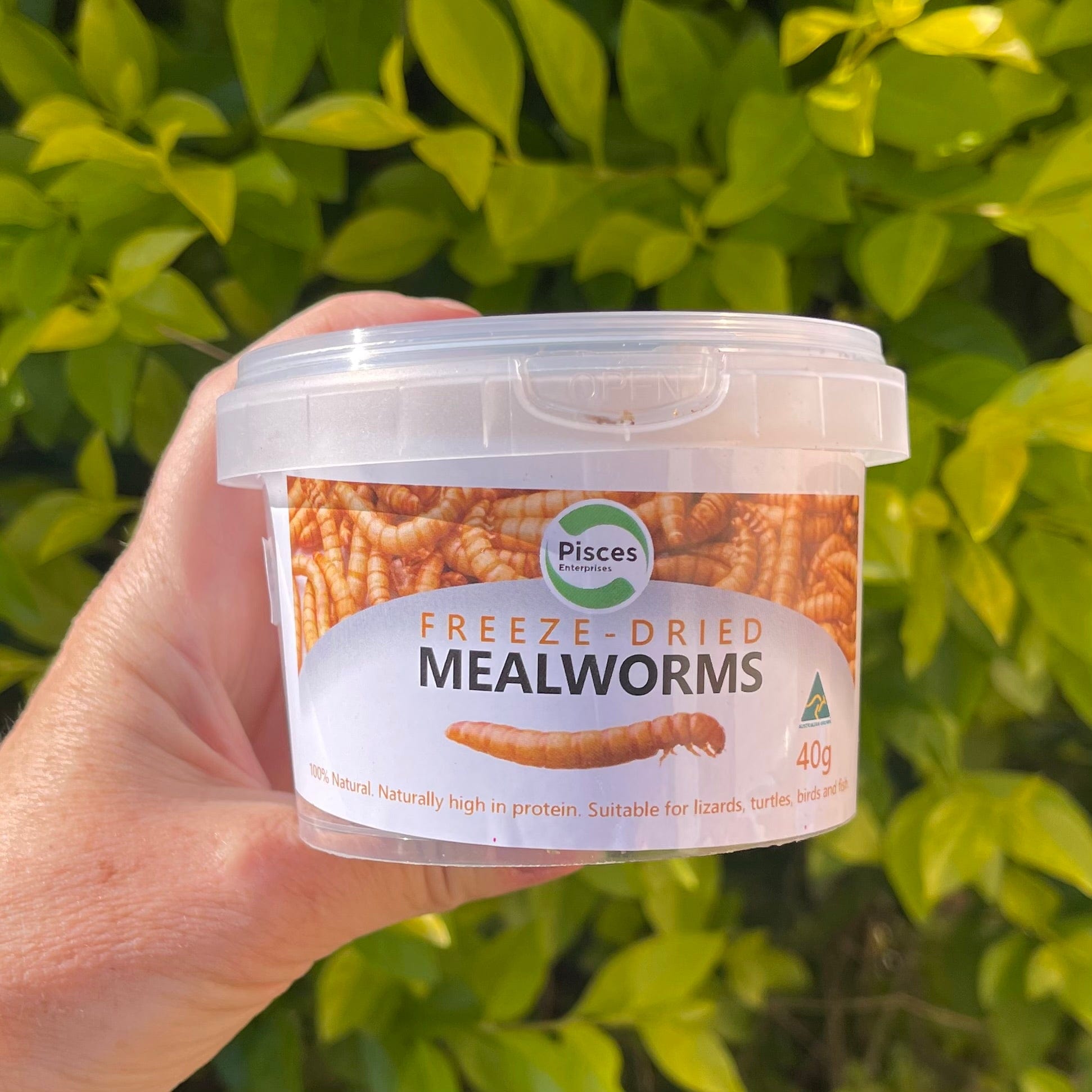 Freeze-dried Mealworms Pisces 40g Reptile Food – Reptile Realm