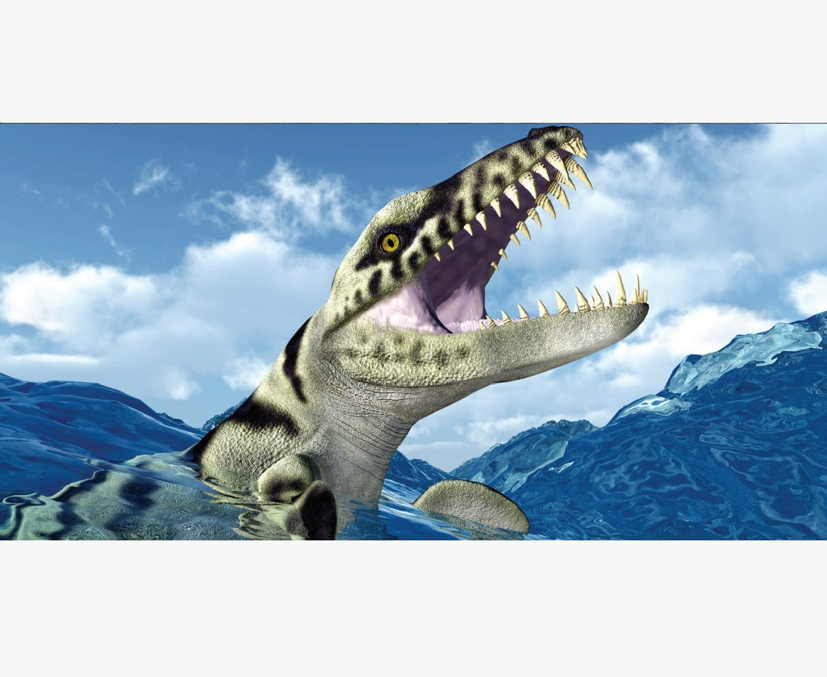 Reptile Realm Aqua Natural 2 foot (40cm high by 60cm wide) Dakosaurus Dinosaur Poster Background