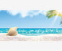 Reptile Realm Aqua Natural 2 foot (40cm high by 60cm wide) Hermit Beach Poster Background