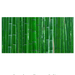 Reptile Realm Aqua Natural Bamboo Forest Poster Background