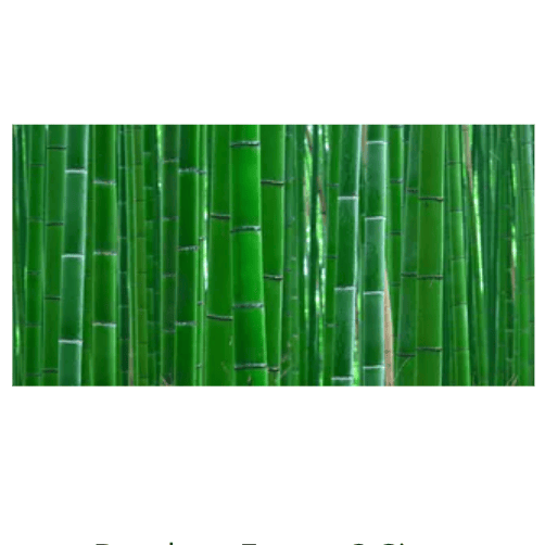 Reptile Realm Aqua Natural Bamboo Forest Poster Background
