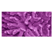 Reptile Realm Aqua Natural Coral Poster Background