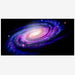 Reptile Realm Aqua Natural Galaxy Poster Background
